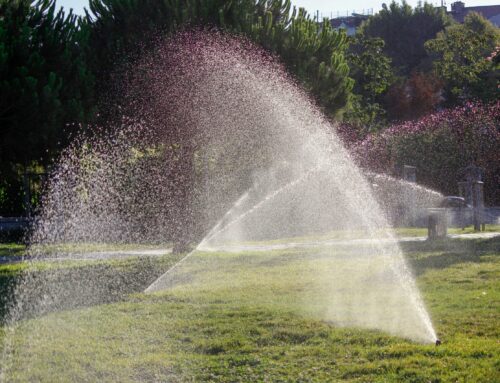 Questions to Ask Before Hiring a Sprinkler Repair Service in Little Elm