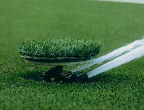 Signs Your Lawn Needs Professional Lantana Sprinkler Repair